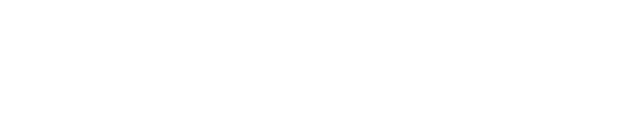 Absolut Promotion Logo