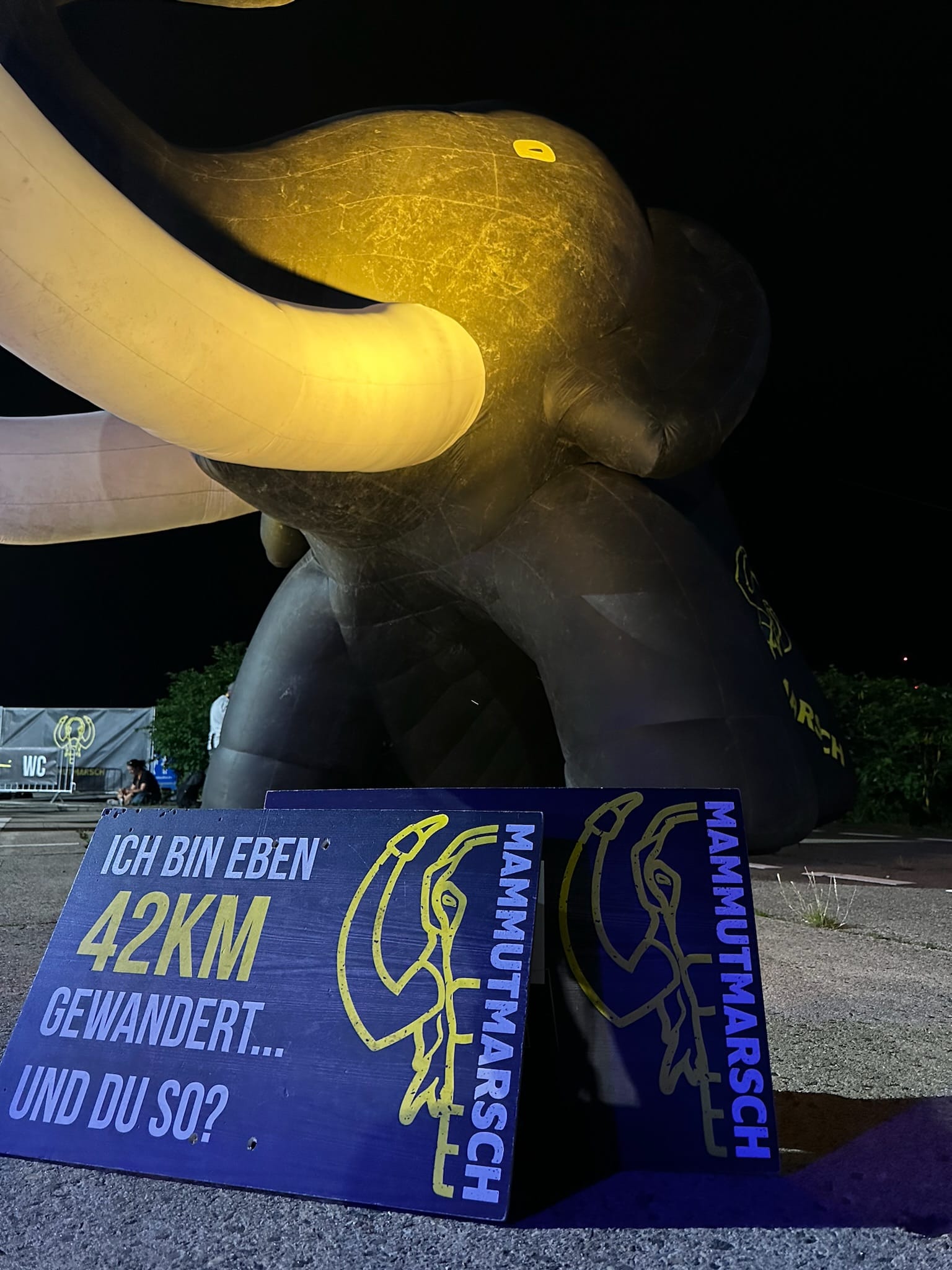 42 km, 8 Stunden, Hamburg bei Nacht. Oder: Wenn beim Nachtmammut 2025 nur Ankommen das Ziel ist #Mammutmarsch