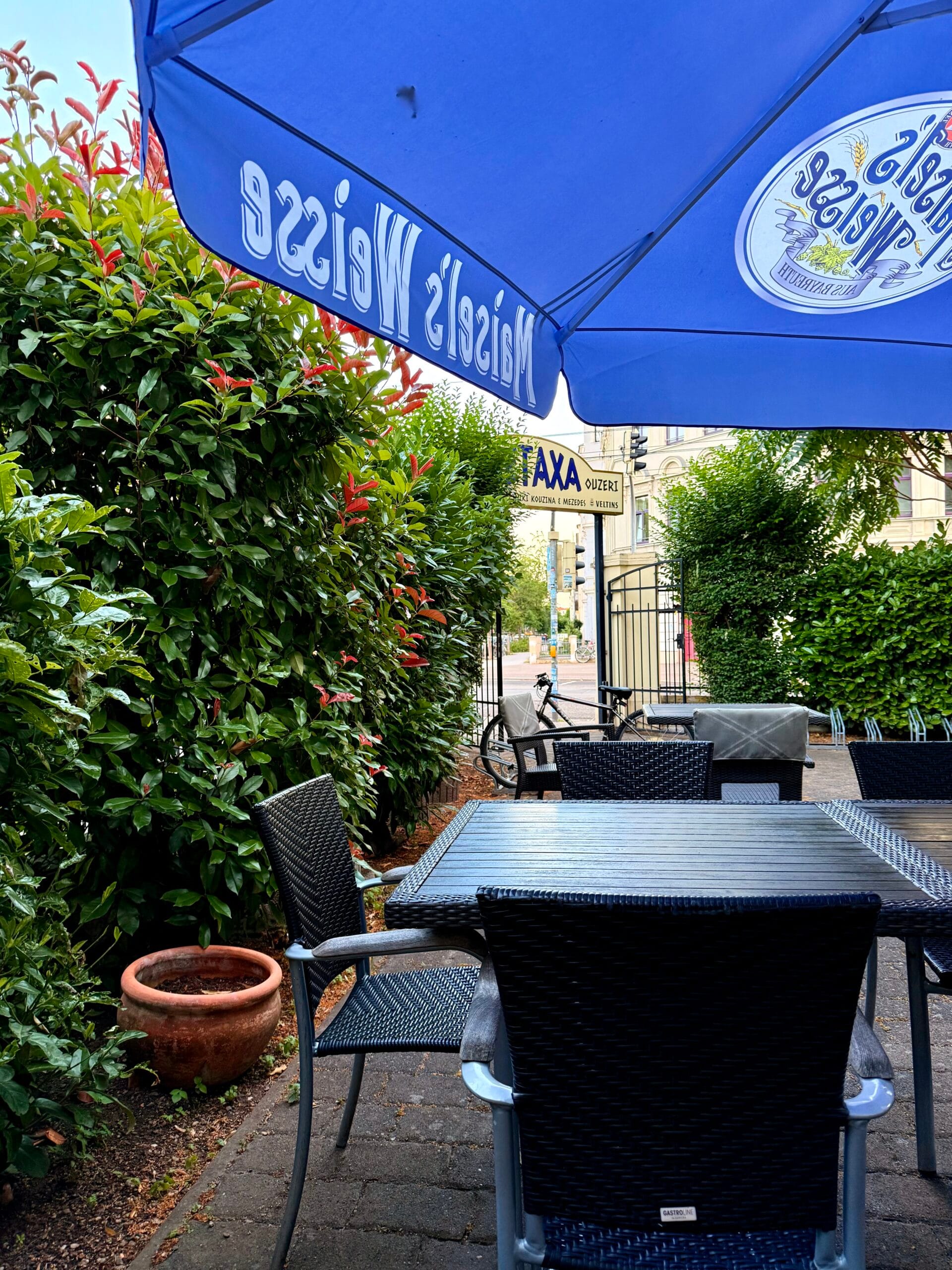 Lecker Schnabulieren in Magdeburg: Taverna Ouzeri Metaxa in Stadtfeld Ost
