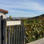 Rallye Leipzig → Dresden → Prag → Wien: Mit Bus und Bahn acht Tage durch Europa