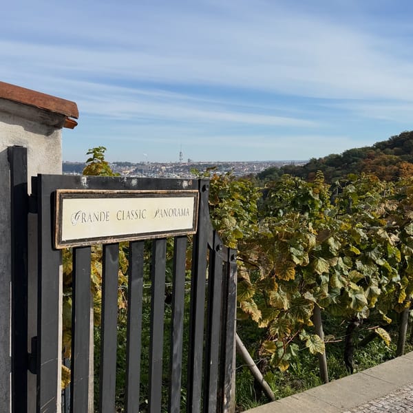 Rallye Leipzig → Dresden → Prag → Wien: Mit Bus und Bahn acht Tage durch Europa