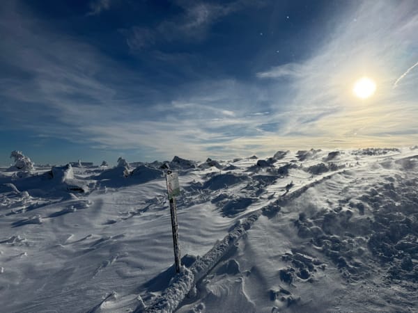 Wie ich einmal beinahe eine Harzer Wandernadel bekommen hätte, oder: Wandertag im Harz, Teil 3