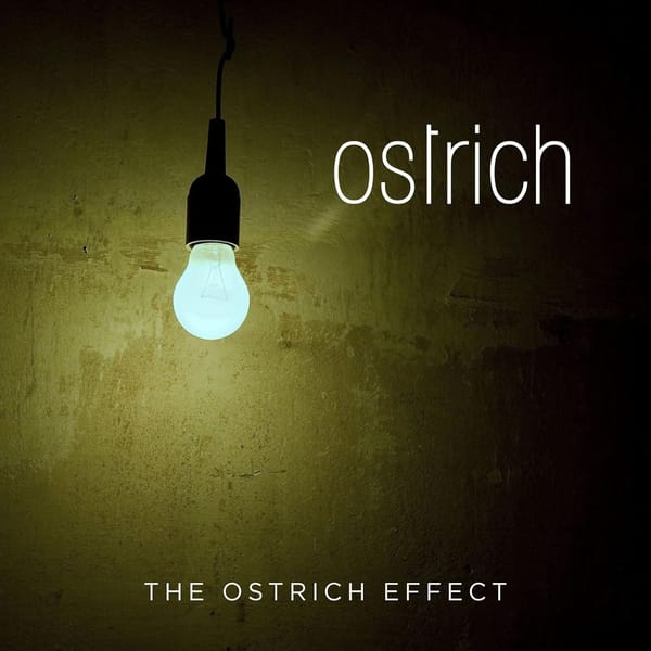 Tiefenentspannter Synthie-Pop aus Schweden: The Ostrich Effect von Ostrich